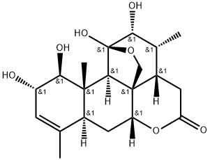 chaparrin