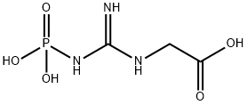 2-[[amino-(phosphonoamino)methylidene]amino]acetic acid