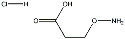 3-AMINYLOXY-PROPIONIC ACID