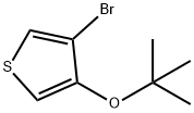 4-Bromo-3-tert-butoxythiophene