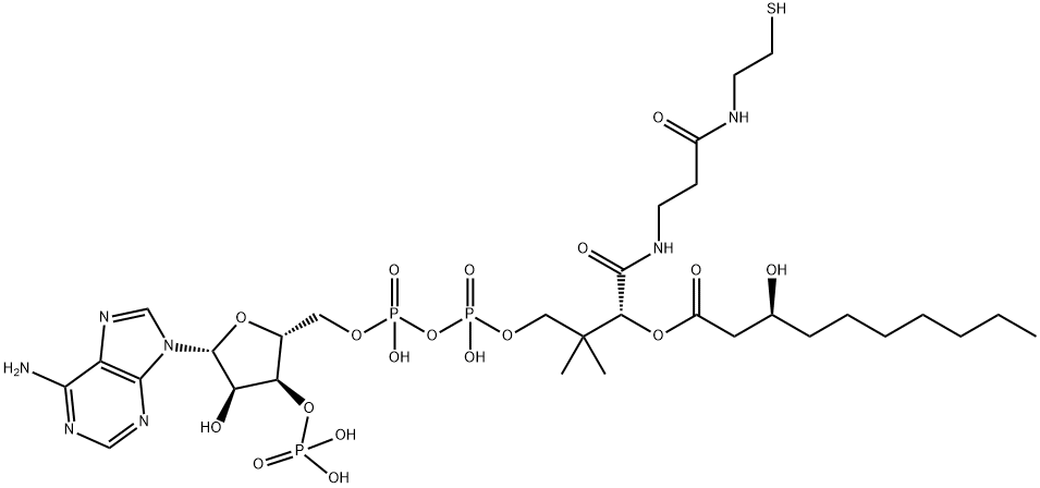 S-[2-[3-[[(2R)-4-[[[(2R,3R,5R)-5-(6-aminopurin-9-yl)-4-hydroxy-3-phosphonooxyoxolan-2-yl]methoxy-hydroxyphosphoryl]oxy-hydroxyphosphoryl]oxy-2-hydroxy-3,3-dimethylbutanoyl]amino]propanoylamino]ethyl] (3S)-3-hydroxydecanethioate