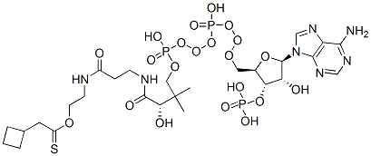 S-[2-[3-[[4-[[[(2R,3S,4R,5R)-5-(6-aminopurin-9-yl)-4-hydroxy-3-phosphonooxyoxolan-2-yl]methoxy-hydroxyphosphoryl]oxy-hydroxyphosphoryl]oxy-2-hydroxy-3,3-dimethylbutanoyl]amino]propanoylamino]ethyl] 2-cyclobutylethanethioate