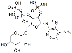 diphosphoribosyl-adenosine monophosphate