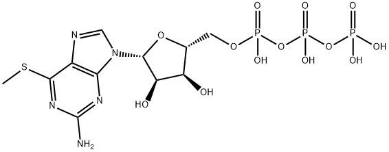 6-S-甲基-6-硫代鸟苷 5'-(三磷酸四氢酯)