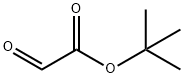 ACETICACID,2-OXO-,1,1-DIMETHYLETHYLESTER