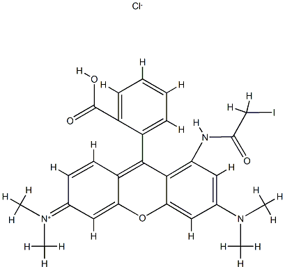 tetramethylrhodamine iodoacetamide
