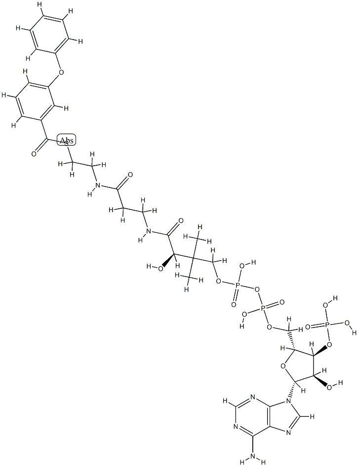 3-phenoxybenzoyl-coenzyme A
