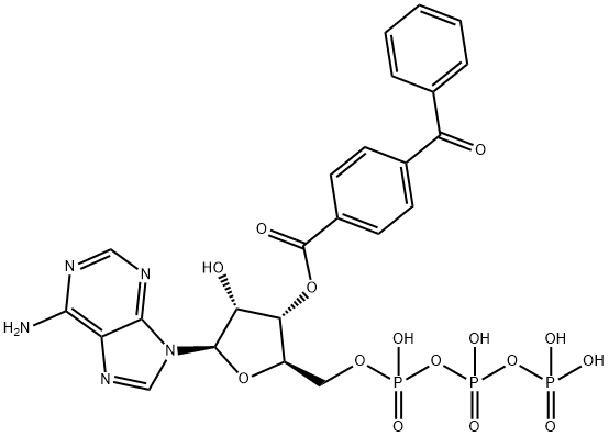 3'-O-(4-苯甲酰基)苯甲酰基腺苷 5'-三磷酸酯