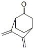 Bicyclo[2.2.2]octanone, 5,6-bis(methylene)-