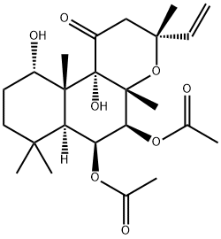 毛喉帖 J