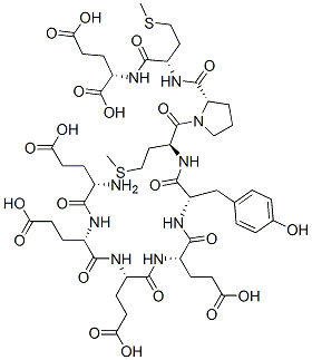 glutamyl-glutamyl-glutamyl-glutamyl-tyrosyl-methionyl-prolyl-methionyl-glutamic acid