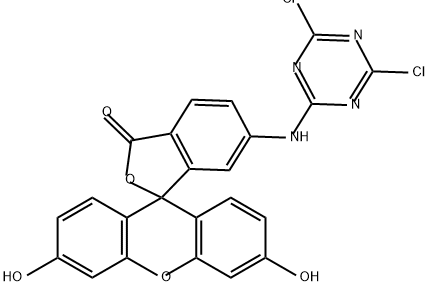 6-(4,6-dichlorotriazinyl)aminofluorescein