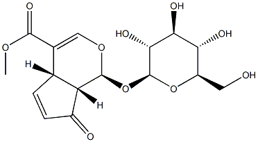 (1S)-1α-(β-D-Glucopyranosyloxy)-1,4aα,7,7aα-tetrahydro-7-oxocyclopenta[c]pyran-4-carboxylic acid methyl ester