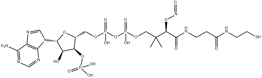 S-nitroso-coenzyme A