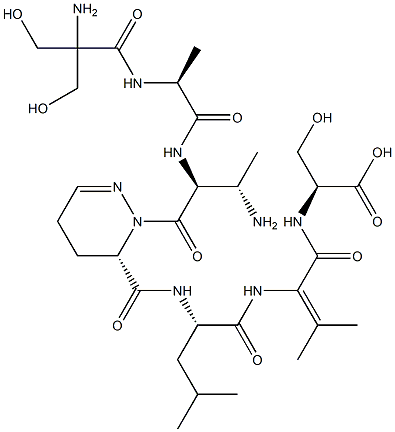 2-[[[(6S)-1-[(3S)-N-(2-Hydroxymethyl Ser-L-Ala-)-3-amino-L-Abu-]-1,4,5,6-tetrahydropyridazin-6-yl]carbonyl-L-Leu-]amino]-3-methyl-2-butenoyl-L-Ser-OH