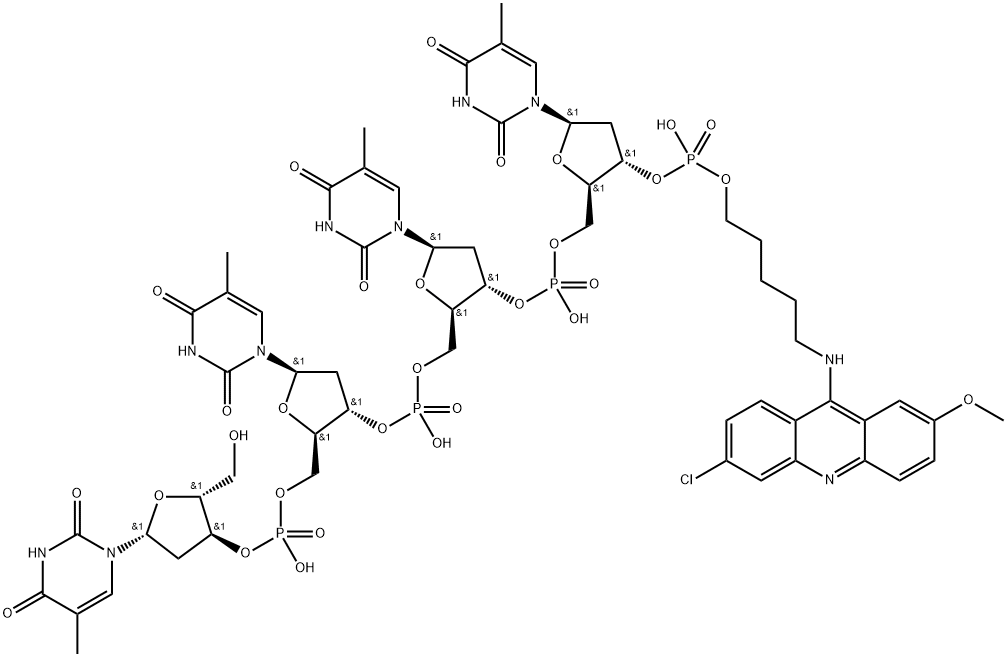 2-methoxy-6-chloro-9-aminoacridinyl-N-pentamethylene tetrathymidylic acid