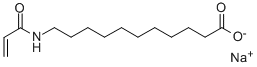 SODIUM-11-ACRYLAMIDO-UNDECANOATE