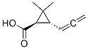 Cyclopropanecarboxylic acid, 2,2-dimethyl-3-(1,2-propadienyl)-, (1R-trans)- (9CI)