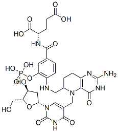 N-(4-(((2-amino-3,4,5,6,7,8-hexahydro-4-oxo-5-((2'-deoxyuridin-5-yl)methyl)pyrido(3,2-d)pyrimidin-6-yl)methyl)amino)benzoyl)glutamic acid 5'-monophosphate