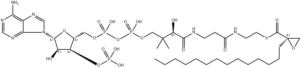 2-tetradecylglycidyl-coenzyme A