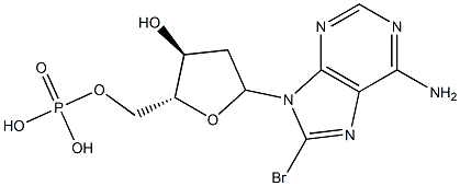 poly(8-bromo-2'-deoxyadenylic acid)
