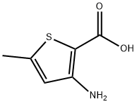 5-甲基-3-氨基噻吩-2-羧酸