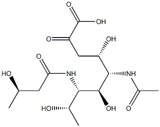5-acetamido-3,5,7,9-tetradeoxy-7-(3-hydroxybutyramido)nonulosonic acid