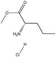 methyl norvalinate hydrochloride