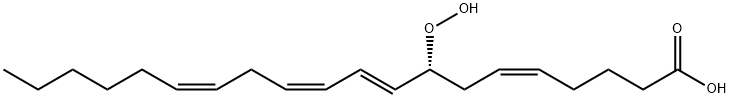 8-hydroperoxyeicosatetraenoic acid