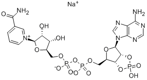 2':3'-CYCLIC NADP SODIUM SALT