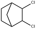 Bicyclo[2.2.1]heptane, 2,3-dichloro- (9CI)