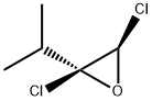 Oxirane, 2,3-dichloro-2-(1-methylethyl)-, trans- (9CI)