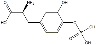 DOPA 4-phosphate