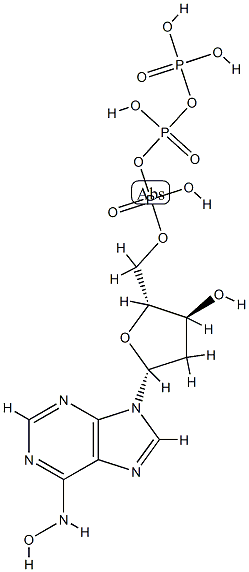 6-N-hydroxylaminopurine deoxynucleoside triphosphate