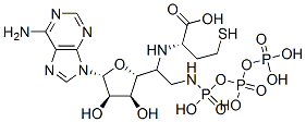 (5'-((N-triphosphoamino)methyl)adenosyl)homocysteine