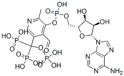 adenosine tetraphosphopyridoxal