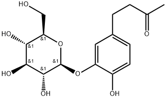 MYZODENDRONE