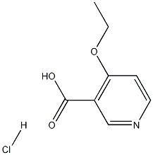 4-Ethoxypyridine-3-carboxylic acid hydrochloride