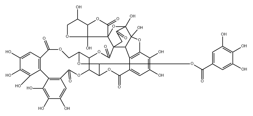 Elaeocarpusin