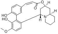 verticillatine