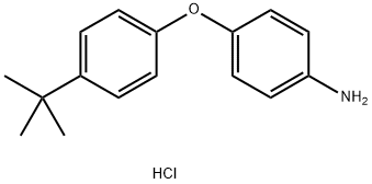 4-[4-(TERT-BUTYL)PHENOXY]ANILINE HYDROCHLORIDE