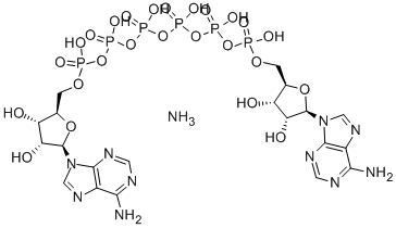 A[5']P6[5']A AMMONIUM SALT