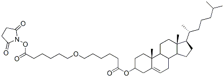 cholesteryl 5-carboxypentyl ether N-hydroxysuccinimide ester