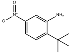 2-(叔-丁基)-5-硝基苯胺
