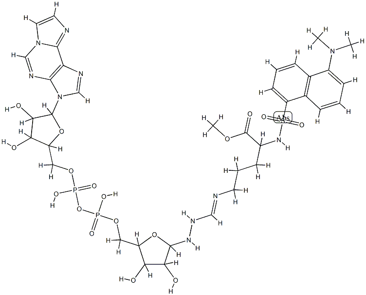 N(alpha)-dansyl-N(omega)-1,N(6)-etheno-ADP-ribosylarginine methyl ester
