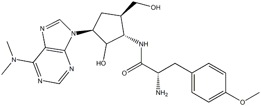 carbocyclic puromycin