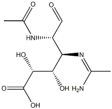 3-acetamidino-2-acetamido-2,3-dideoxyguluronic acid