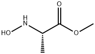L-Alanine, N-hydroxy-, methyl ester (9CI)