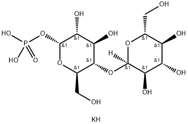 4-O-ALPHA-D-吡喃葡萄糖基-ALPHA-D-吡喃葡萄糖 1-(磷酸二氢酯)二钾盐