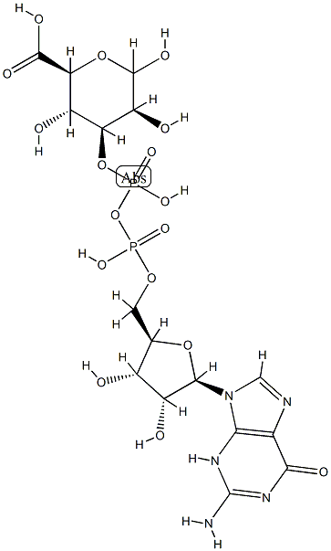 Gdp mannuronic acid